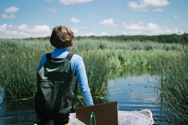 Rückenansicht einer Person im Schilf eines Sees