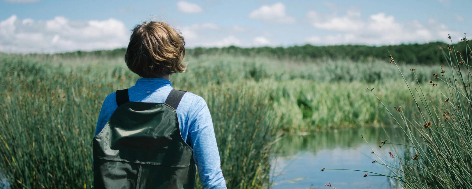 Rückenansicht einer Person im Schilf eines Sees